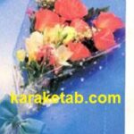 هیچ چیز ابدی نیست