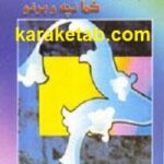 واگویه های کمانچه و برنو