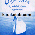 پرنده منزوی