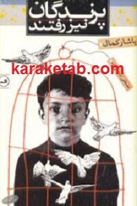 پرندگان نیز رفتند