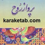 پرواز روح
