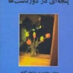 پنجه ای در دوردست ها