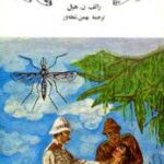 پیروزی بر تب زرد