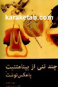 چند تنی از بینامتنیت یا پاعکس نوشت
