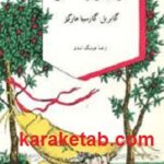 ژنرال در هزارتوی خود