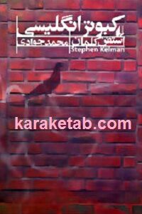کبوتر انگلیسی