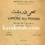 افعی در مشت