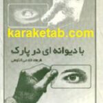 با دیوانه ای در پارک