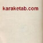 بازرس مخفی
