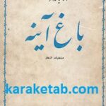 باغ آینه