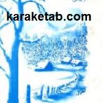 برکه مانداب