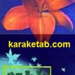 برگی از سدر