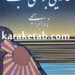 خانه یی برای شب
