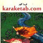 دختر آئینه پوش
