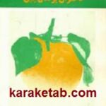 دختران پرتقال چین