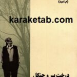 درخت پیر و جنگل