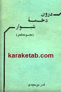 کتاب-درون-خیمه-شبوار.jpg