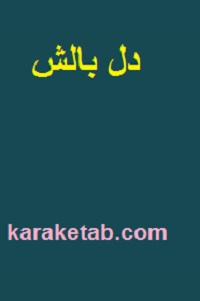 دل بالش