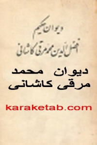 دیوان محمد مرقی کاشانی