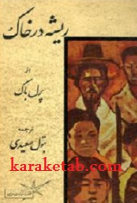 ریشه در خاک