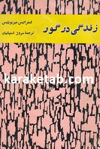 زندگی در گور