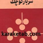 سرباز کوچک