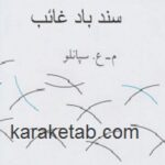 سندباد غائب