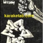 شعرهایی بر شیشه پنجره ها