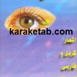 شورشو