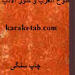 کتاب خطی فتوح العرب و کنوز الادب