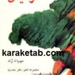 فرمیتن