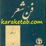 فن شعر