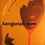 مقایسه می و معشوق