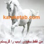 من فقط سفیدی اسب را گریستم