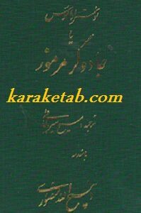 نوستراداموس یا جادوگر مرموز