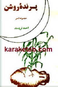 کتاب-پرنده-روشن.jpg