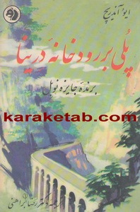 پلی بر رودخانه درینا