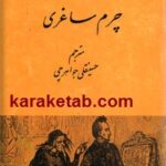 چرم ساغری