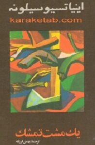 یک مشت تمشک