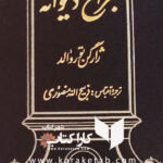 جراح دیوانه