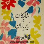 ستارگان در زیر باران