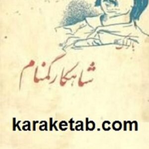 شاهکار گمنام