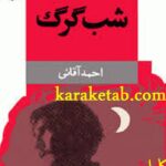 شب گرگ