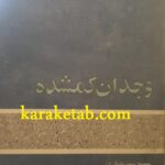وجدان گمشده