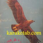 پرواز شاهین