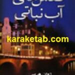کفش های آب نباتی