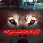 گرگ ها باعث صمیمت می شوند