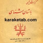 گزارشهای باستان شناسی