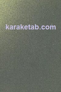 گفت و گو در باغ