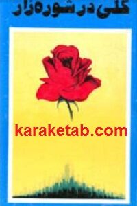 گلی در شوره زار